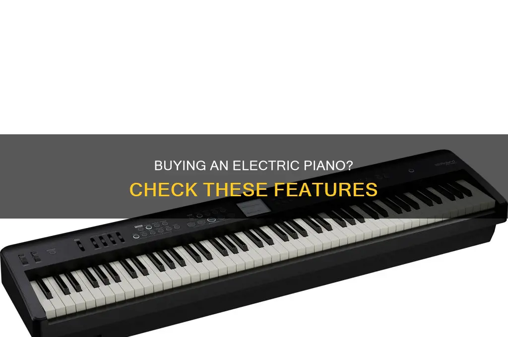 what to look for in electric piano