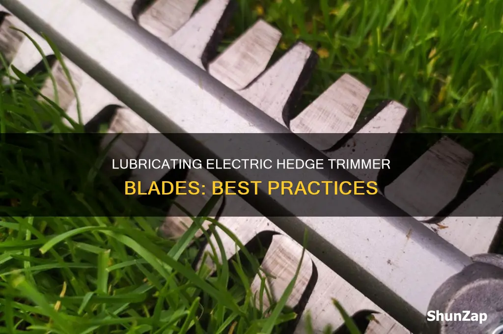 what to lubricate electric hedge trimmer blades