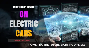 Mastering Electric Vehicle Technology: Key Subjects for a Career in EVs