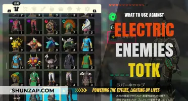 Effective Strategies to Counter Electric Enemies in TotK