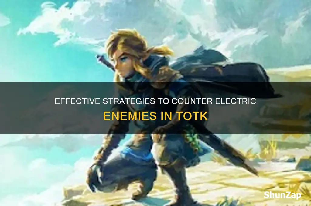what to use against electric enemies totk