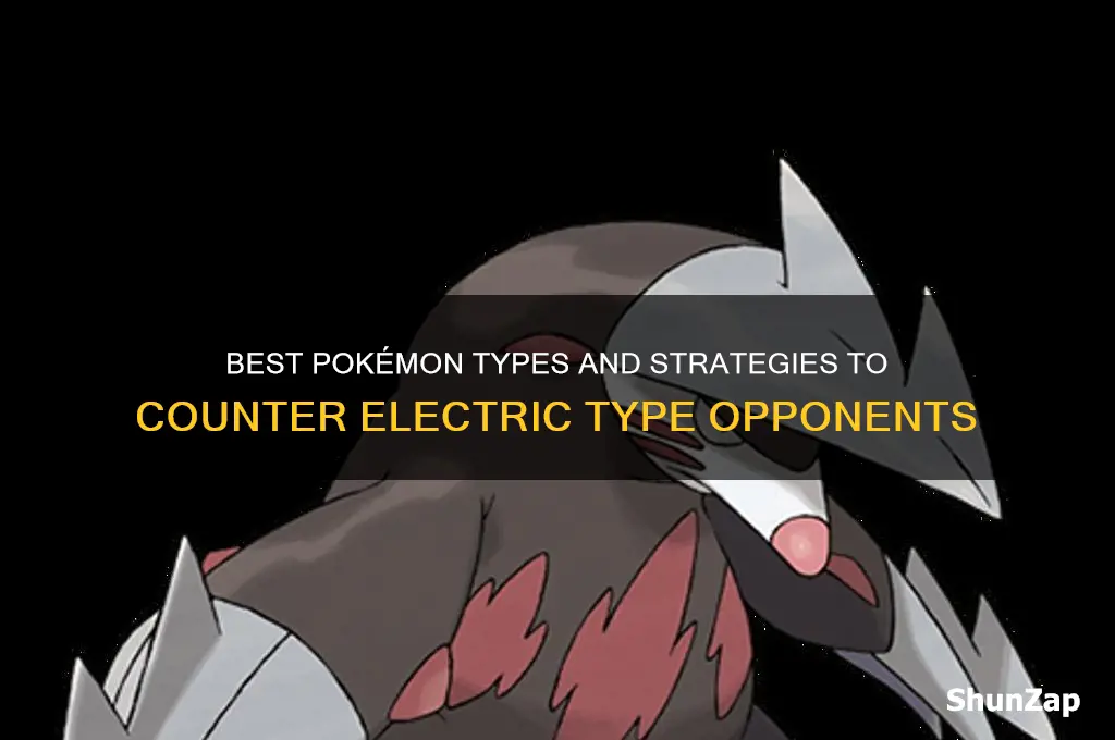 what to use against electric type