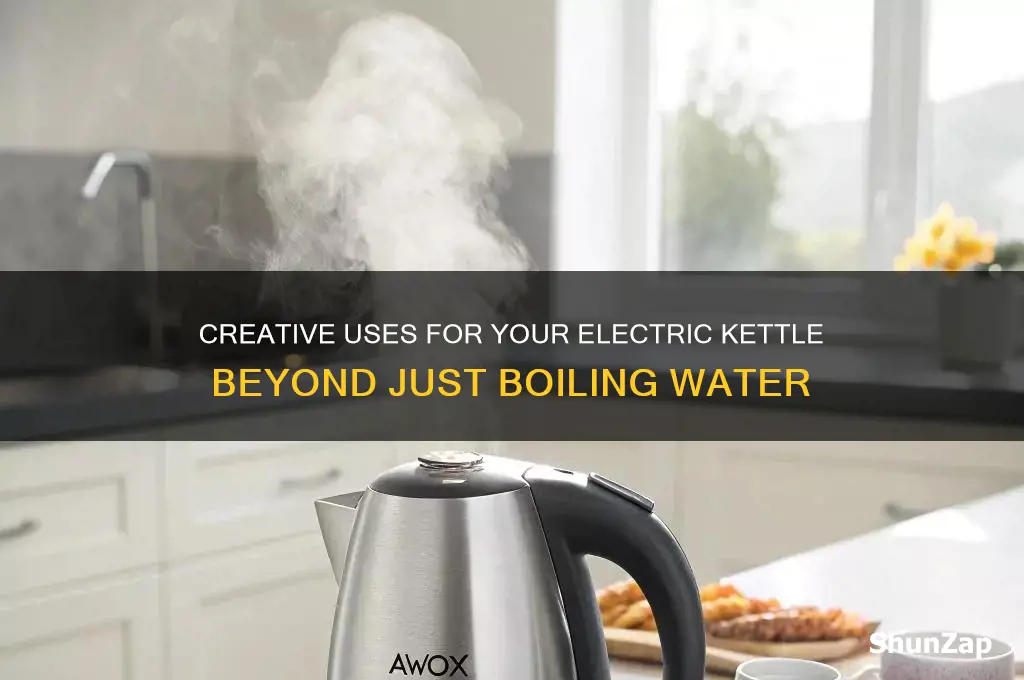 what to use an electric kettle for