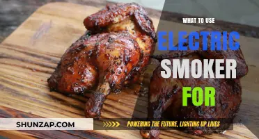 Electric Smoker Uses: Delicious Recipes and Creative Cooking Ideas