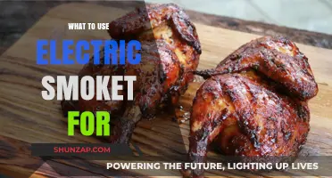 Electric Smoker Uses: Delicious Recipes and Creative Cooking Ideas