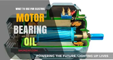 Best Lubricants for Electric Motor Bearings: A Comprehensive Guide