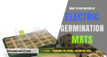 Eco-Friendly Alternatives to Electric Germination Mats for Seed Starting