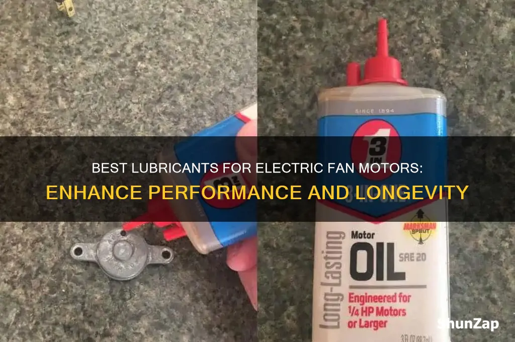 what to use on electric fan motor for lune