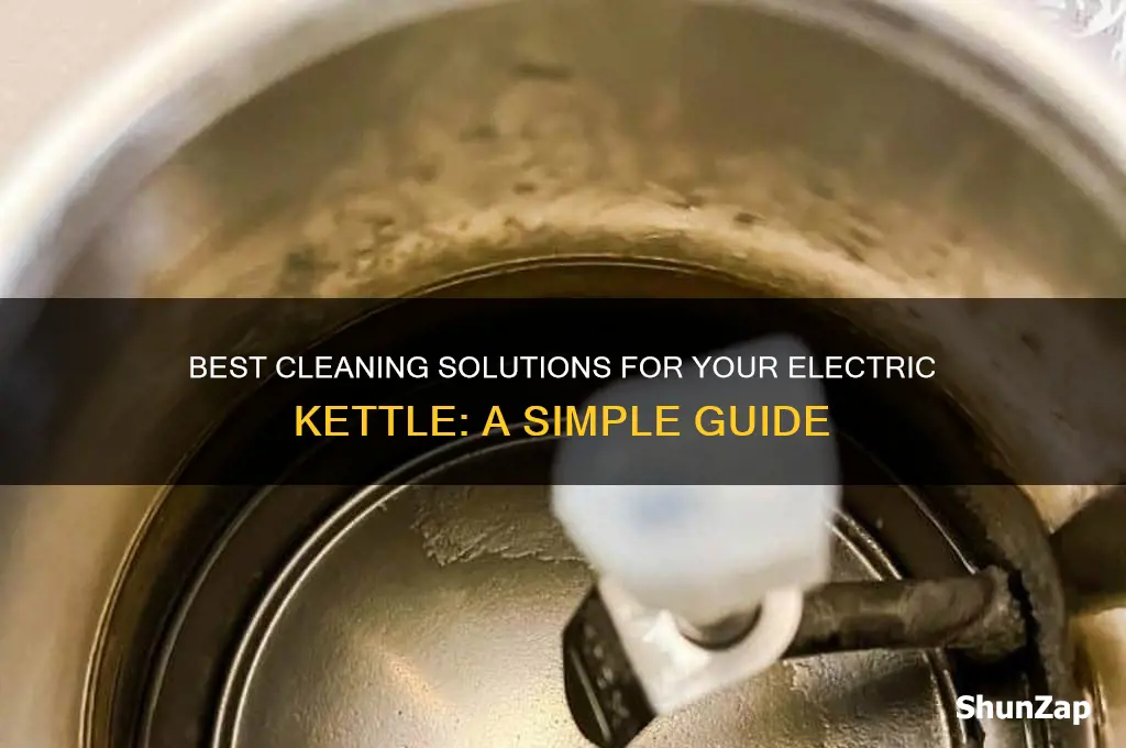 what to use to clean electric kettle