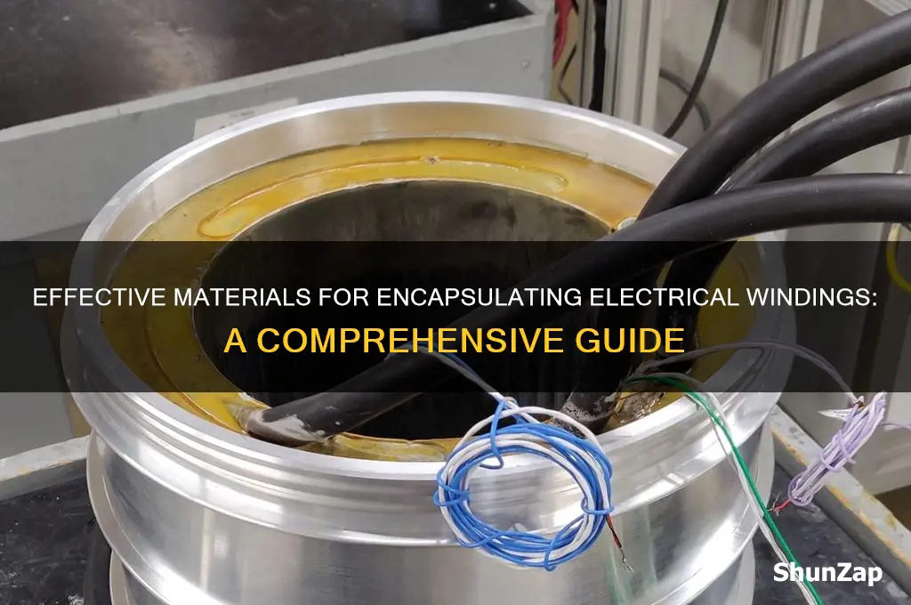 what to use to encapsulate electrical windings