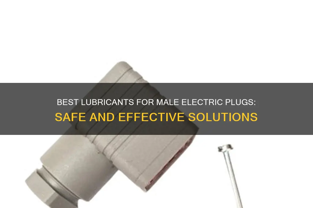 what to use to lubricate male electric plug
