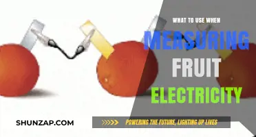 Measuring Fruit Electricity: Best Tools and Techniques to Use