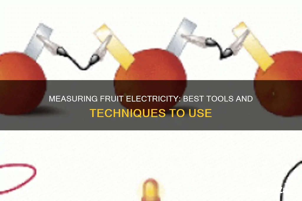 what to use when measuring fruit electricity