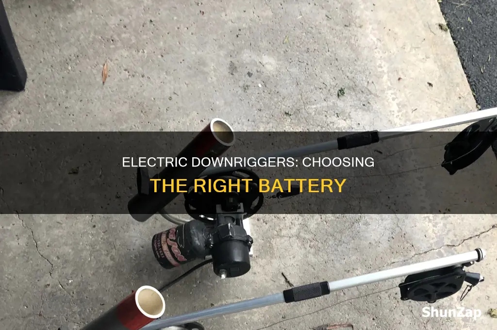 what type battery connect electric down riggers