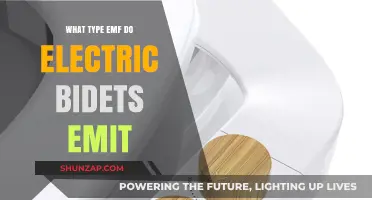 Bidet EMF: What Type of EMF Do Electric Bidets Emit?