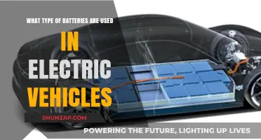 Electric Vehicle Batteries: Types, Uses, and Powering the Future