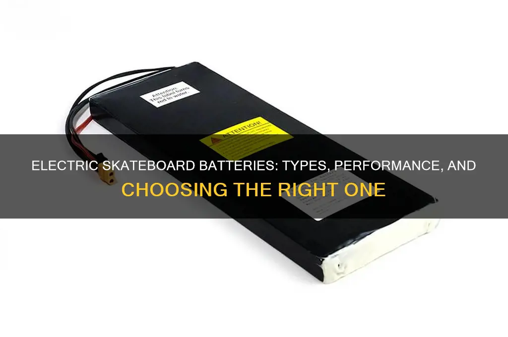 what type of batteries do electric skateboards use