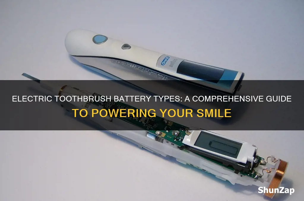 what type of batteries do electric toothbrushes use