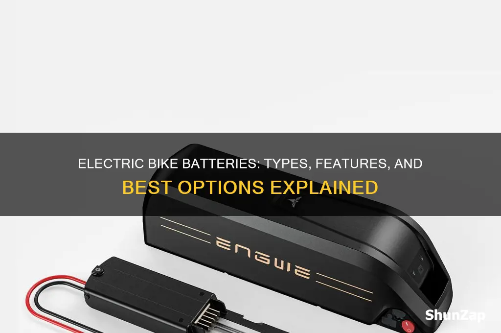what type of battery is used in electric bike
