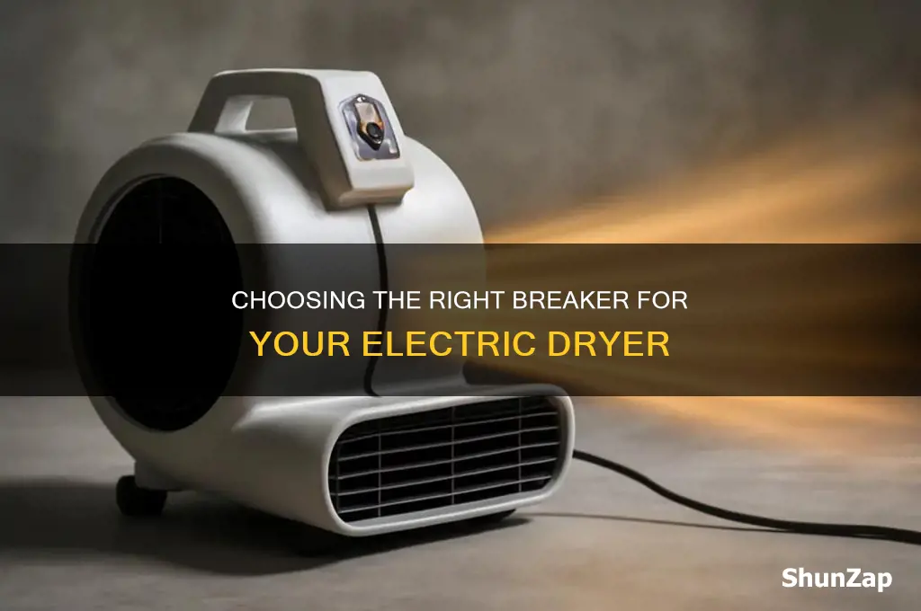what type of breaker for electric dryer