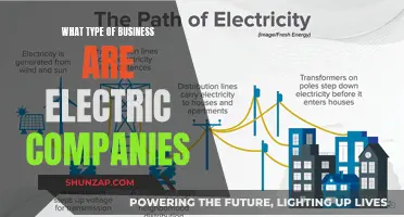 Powering the World: Exploring the Business Model of Electric Companies