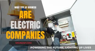 Electric Companies: Understanding Their Business Type and Nature