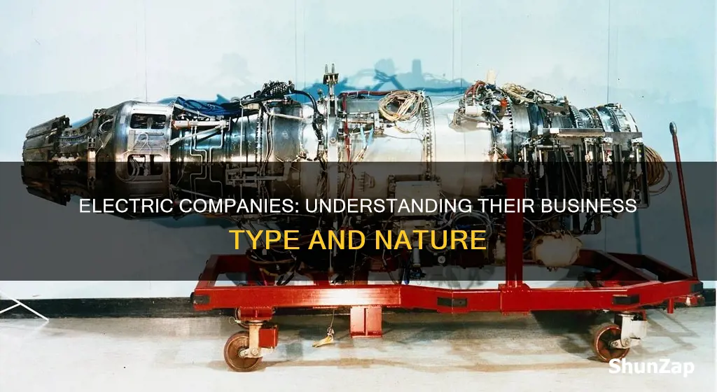 what type of business are electric companies