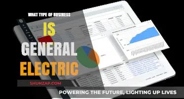 General Electric: A Dynamic Multinational Conglomerate