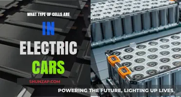 Exploring the Role of Battery Cells in Electric Vehicles