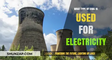 Understanding the Best Coal Types for Electricity Generation