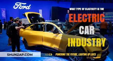 Exploring Elasticity Dynamics in the Electric Car Industry