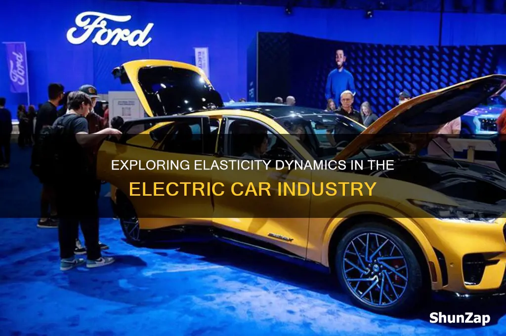 what type of elasticity is the electric car industry