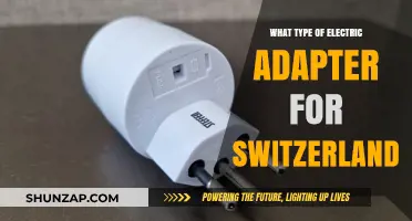 Swiss Electric Adapters: What Type Do You Need?