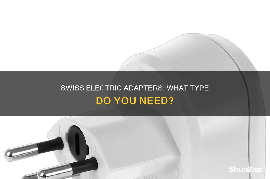 what type of electric adapter for switzerland