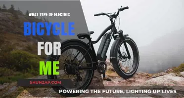 Electric Bicycles: Which One Suits Your Needs?