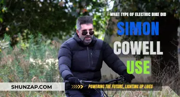 Simon Cowell's Electric Bike Choice: Unveiling His Preferred E-Bike Model
