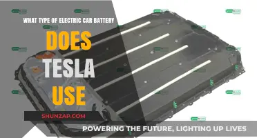 Tesla's Electric Car Battery Technology: Types and Innovations Explained