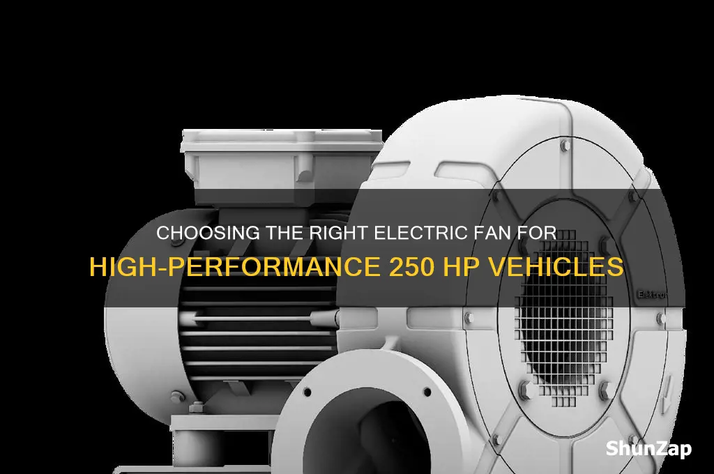 what type of electric fan for a 250 hp car