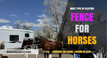 Electric Fence Options for Horses: What You Need to Know