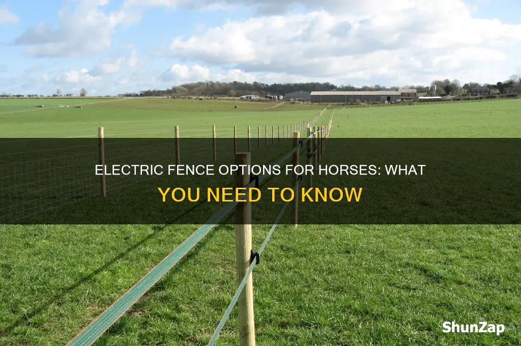 what type of electric fence for horses