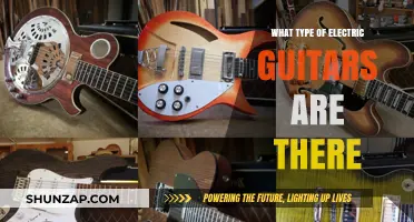Electric Guitar Types: A Comprehensive Guide
