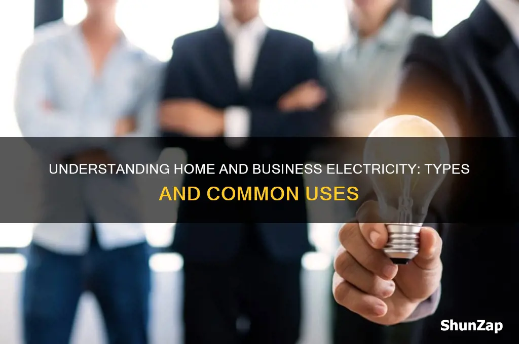 what type of electric is used in homes and businesses