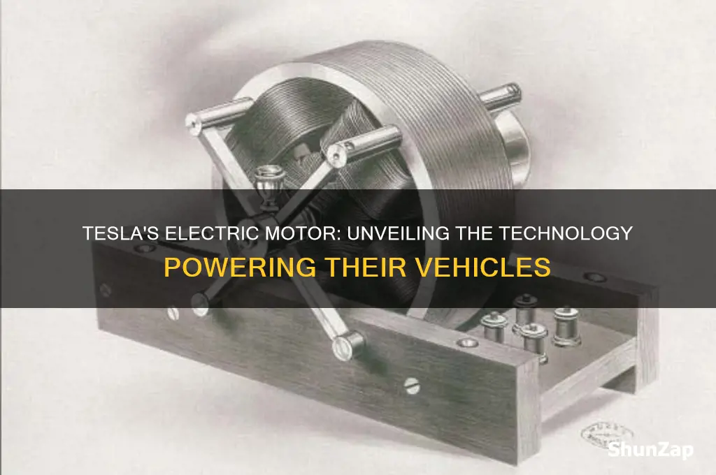what type of electric motor does tesla use
