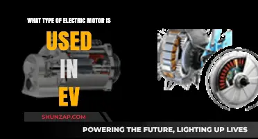 Electric Vehicle Motors: Types and Applications in Modern EVs