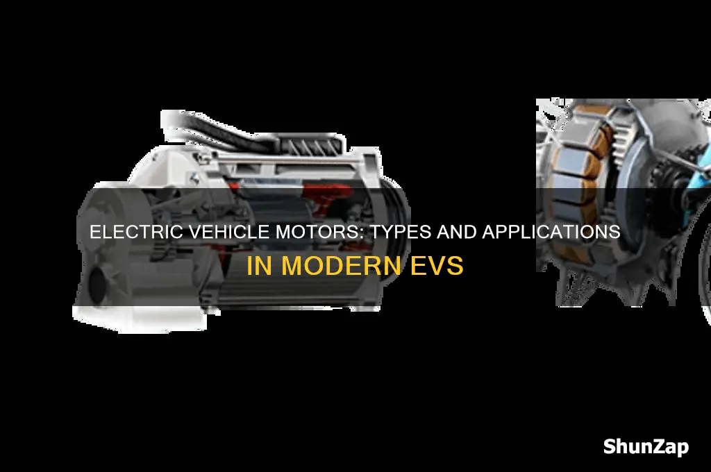 what type of electric motor is used in ev