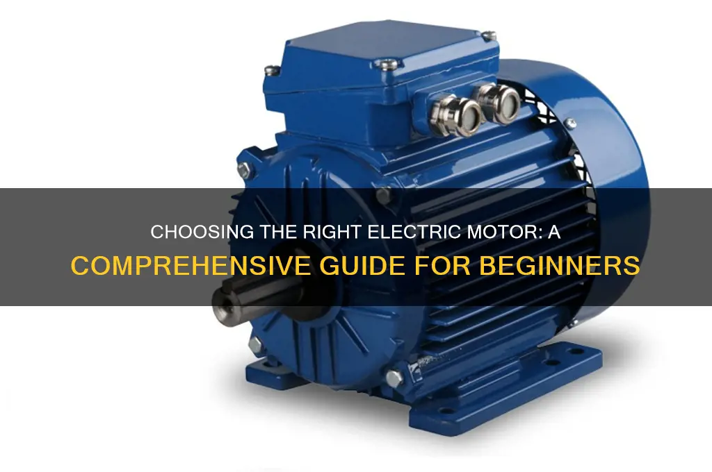 what type of electric motor should i use
