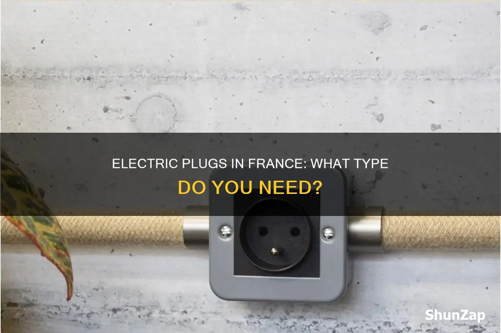 what type of electric plug in france