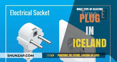 Iceland's Power Outlet: A Traveler's Guide to Plugs