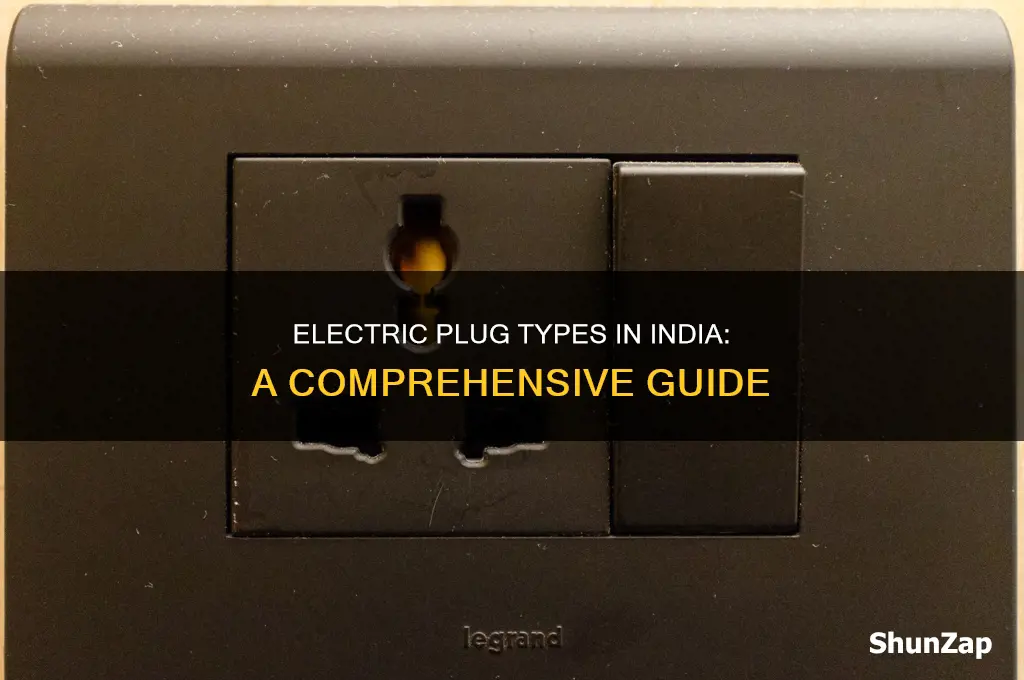 what type of electric plug in india