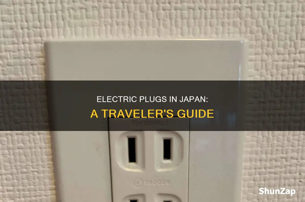 what type of electric plug in japan